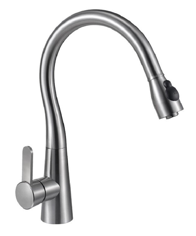 FD101 Kitchen Faucet