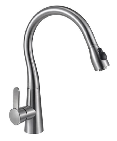 FD101 Kitchen Faucet